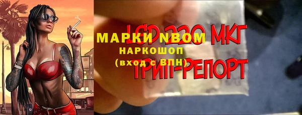 дмт Алзамай