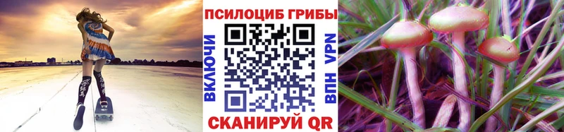 Галлюциногенные грибы мицелий  купить   Россошь 