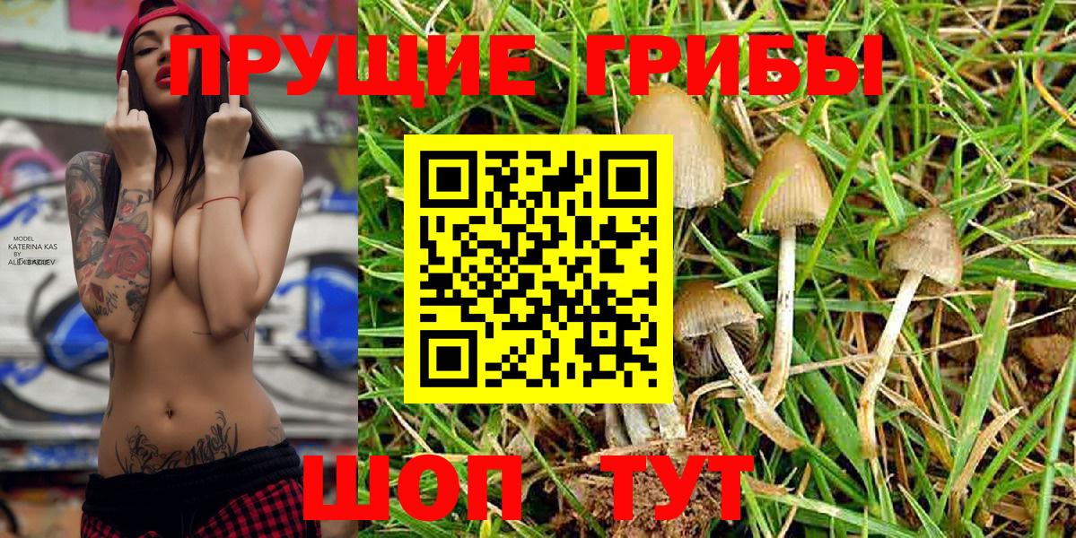 Псилоцибиновые грибы MAGIC MUSHROOMS  Вход с VPN  Россошь 